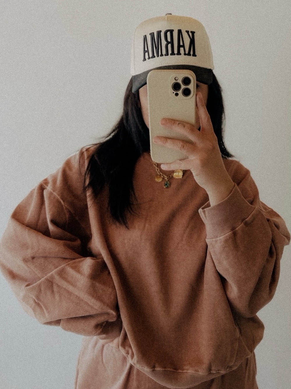 The blank lab mocha sweatshirt